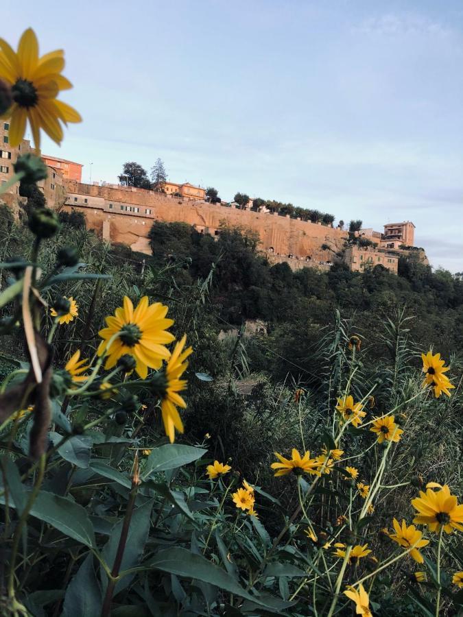 Il Girasole Storico Apartman Pitigliano Kültér fotó
